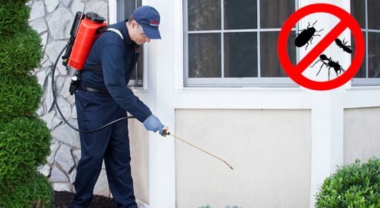 Üçkuyular Dezenfeksiyon böcek ilaçlama ve haşere kontrolü — ilaclama-tr.com